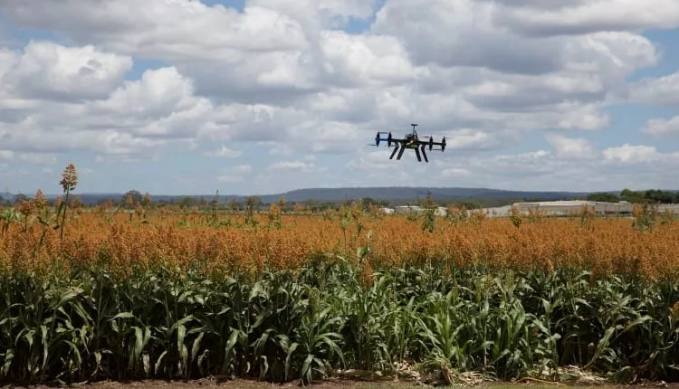 A drone flying over a field with tall golden crops in the foreground and lush greenery in the background, under a partly cloudy sky.